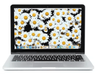 MacBook Pro Retina Mid 2014 Image